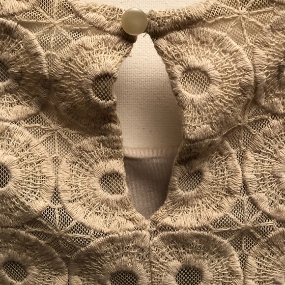BANANA REPUBLIC Top, Lace Cream, Sleeveless. M - Picture 3 of 7